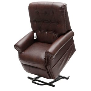 EZee Life Neptune Brown Leather 2-Motor Powered Reclining Lift Chair
