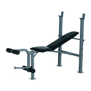 Soozier Black Steel 4-Position Adjustable Weight Bench