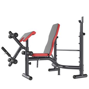 Soozier Black/Red Steel 5-Position Adjustable Weight Bench