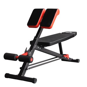 Soozier Black/Red Steel Adjustable Weight Bench