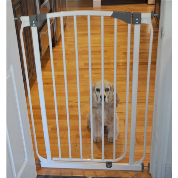 Handlers Choice 32-in x 36-in White Plastic Safety Gate