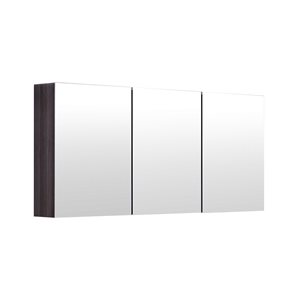 GEF Amira 60-in Surface Distressed Oak Mirrored Rectangle Medicine Cabinet