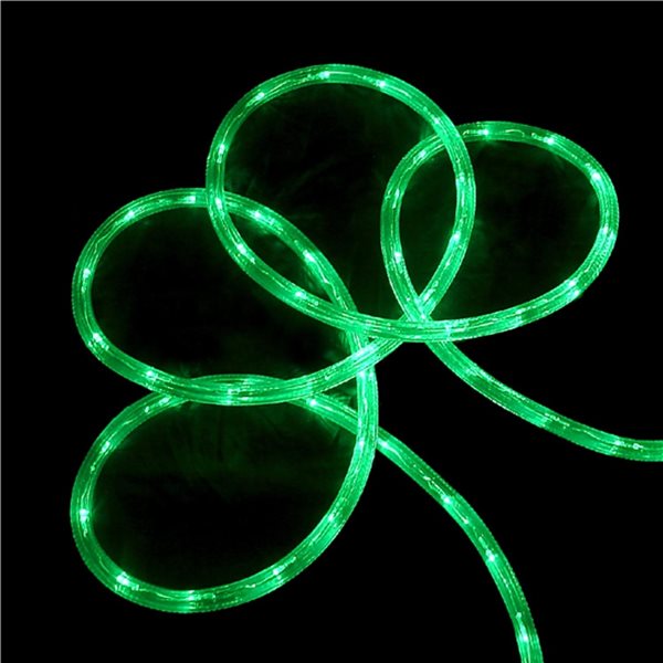 Sienna 102-ft Green Outdoor Decorative Christmas Rope Light 31011181