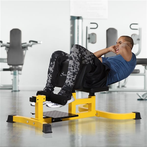 Soozier Multi-Function Adjustable Squat and Sit-Up Machine A91-067YL