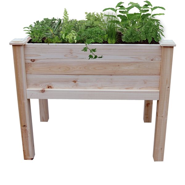 Leisure Season 36-in W x 22-in L x 31-in H Unfinished Wood Raised Garden Bed