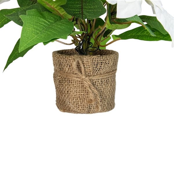 Northlight 11.75-in LED Artificial White Poinsettia Potted Plant - Clear Lights