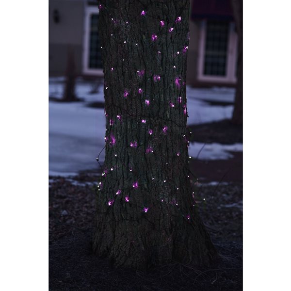 Northlight 2-ft x 8-ft Indoor/Outdoor Constant Purple LED Wide Angle Electrical Outlet Christmas Net Lights