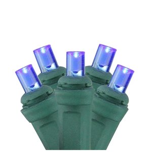 Northlight 4-ft x 6-ft Indoor/Outdoor Constant Blue LED Mini Electrical Outlet Christmas Net Lights