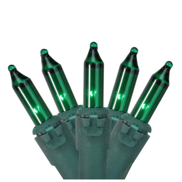 Northlight 4ft x 6ft Indoor/Outdoor Constant Green Incandescent Mini