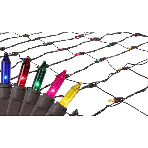 Northlight 2ft x 8ft Indoor/Outdoor Constant Multicolour Incandescent