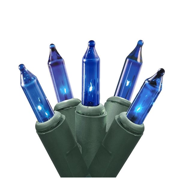 Northlight 4ft x 6ft Indoor/Outdoor Constant Blue Incandescent Mini