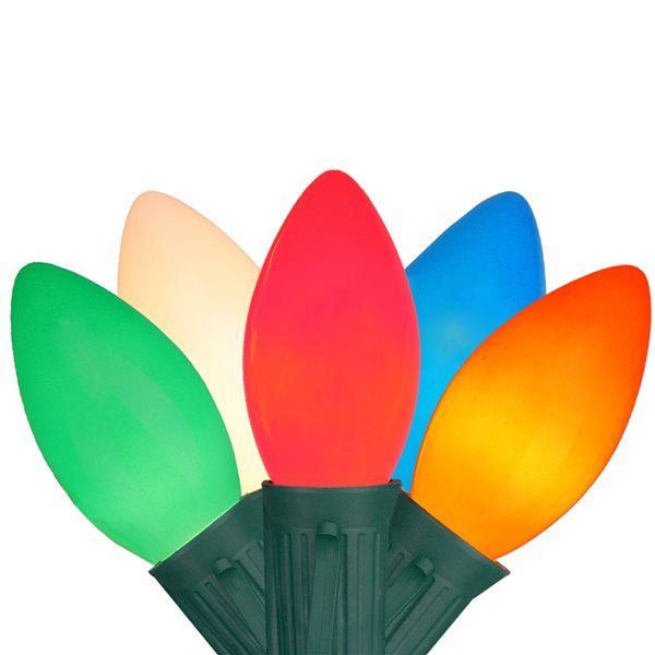 Northlight 25-Count 24-ft Multicolour Incandescent Indoor/Outdoor ...