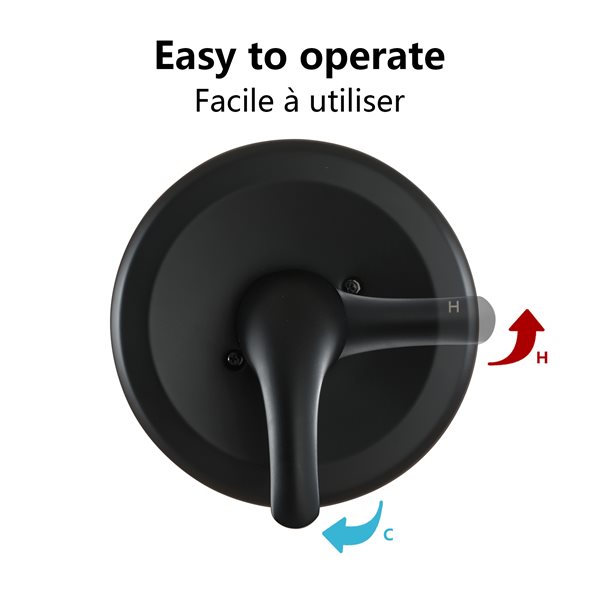 Boyel Living Matte Black 4-in Plastic Shower Head with Built-in Shower System
