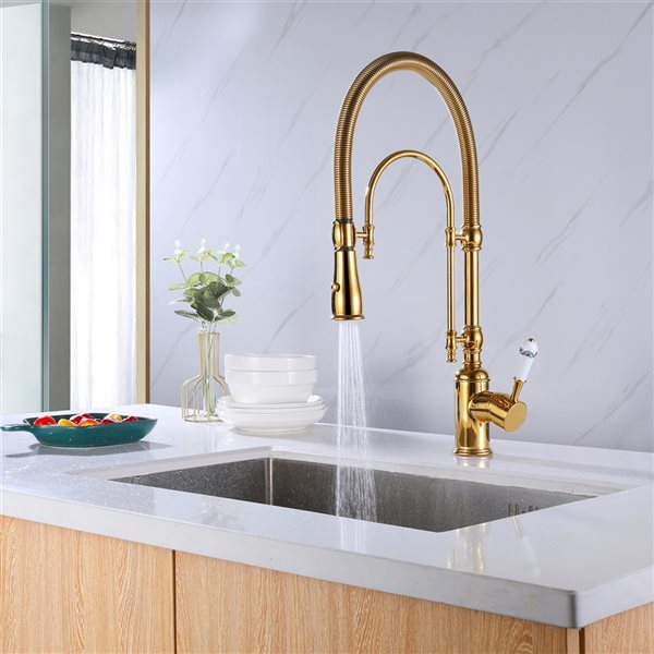 Clihome Polished Gold 1-Handle Deck Mount Pull-Out Lever Kitchen Faucet