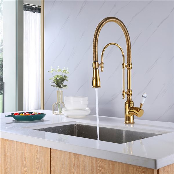 Clihome Polished Gold 1-Handle Deck Mount Pull-Out Lever Kitchen Faucet