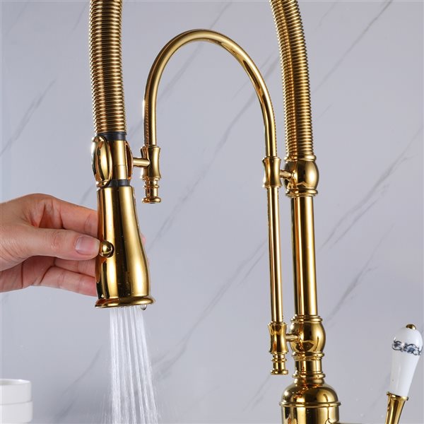 Clihome Polished Gold 1-Handle Deck Mount Pull-Out Lever Kitchen Faucet
