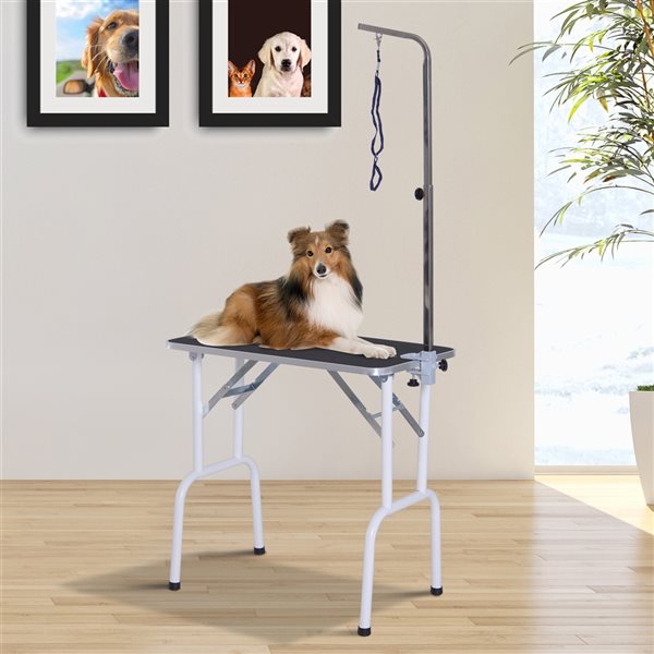 PawHut Black/White Foldable Pet Grooming Table with Arm