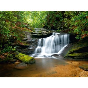 Dundee Deco 11-ft 10-in x 8-ft 10-in Strippable Washable Mountain Waterfall Mural