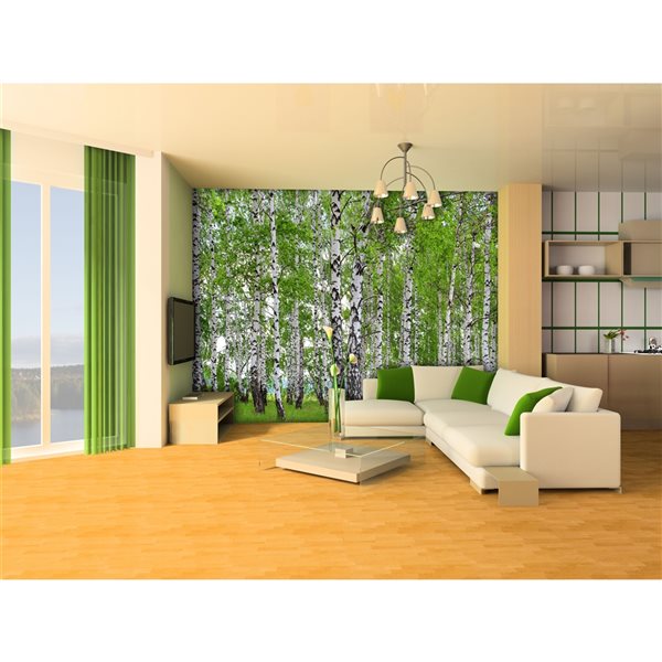 Dundee Deco 11-ft 10-in x 8-ft 10-in Strippable Washable Birch Forest Mural