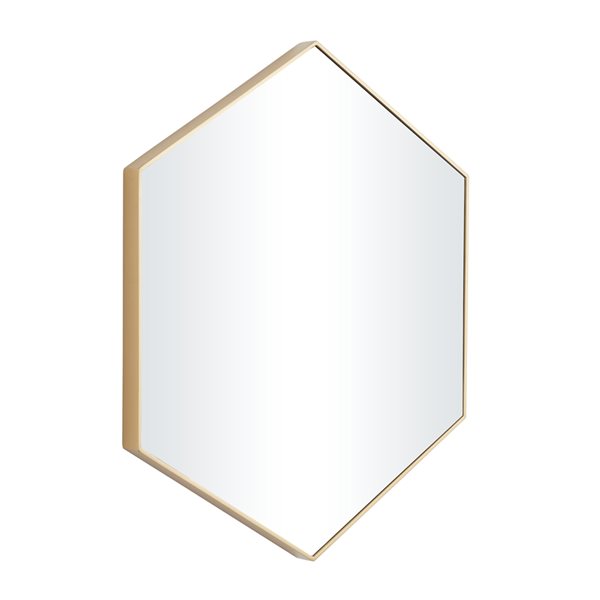 Grayson Lane 21-in x 24-in Oval Gold Contemporary Framed Wall Mirror