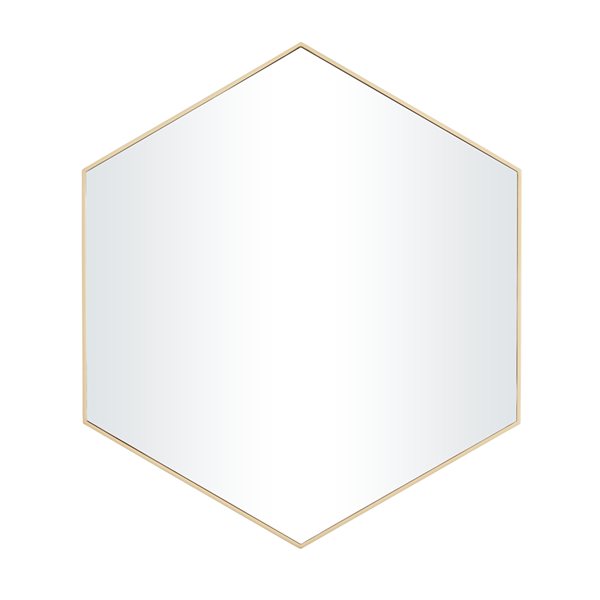 Grayson Lane 21-in x 24-in Oval Gold Contemporary Framed Wall Mirror