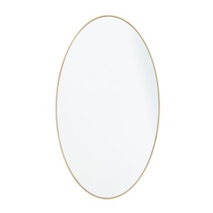 Grayson Lane 32-in x 18-in Oval Gold Contemporary Framed Wall Mirror