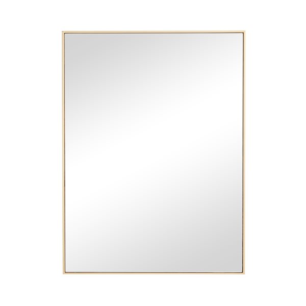 Grayson Lane 24-in x 18-in Rectangle Gold Contemporary Framed Wall Mirror