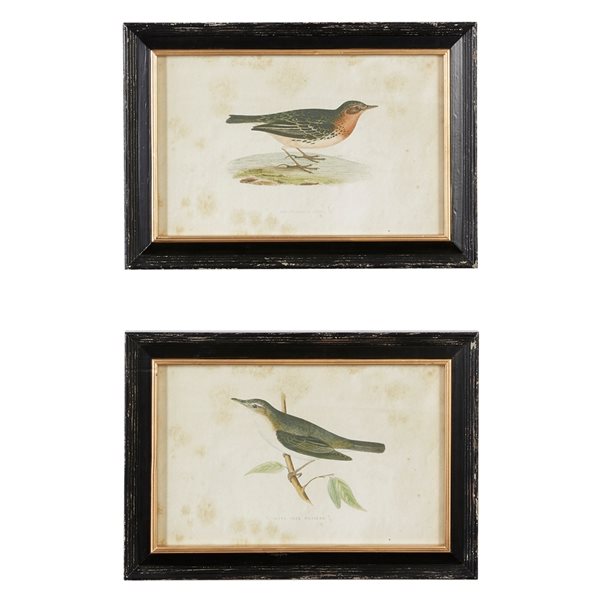 Grayson Lane 19-in x 13-in Black Wood Framed Farmhouse Cottage Birds Wall Art - Set of 2