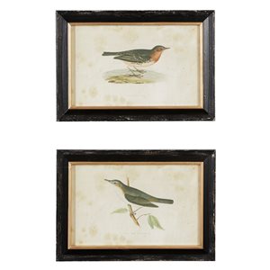 Grayson Lane 19-in x 13-in Black Wood Framed Farmhouse Cottage Birds Wall Art - Set of 2