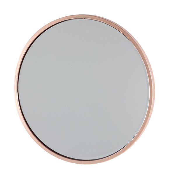 Grayson Lane 24 In X 24 In Round Silver Contemporary Framed Wall Mirror   330941022 AlternateImage5 L 