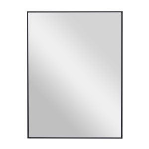 Grayson Lane 24-in x 18-in Rectangle Black Contemporary Framed Wall Mirror