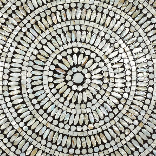 Grayson Lane 27-in x 27-in Tan Mother of Pearl Coastal Ornamental Wall Decor