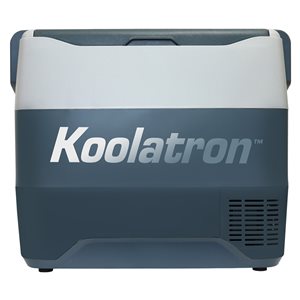 Koolatron 50-L Grey Insulated Personal Cooler