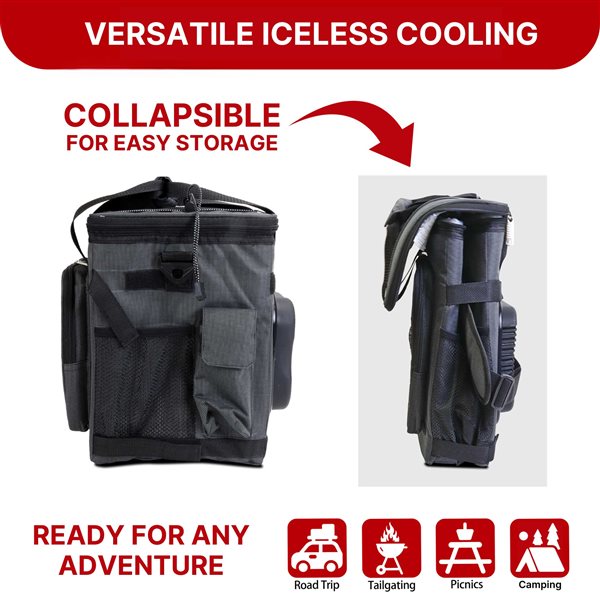 Koolatron 13-L Black Insulated Bag Cooler
