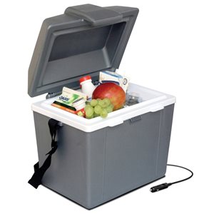 Koolatron 9.3-L Grey Insulated Personal Cooler