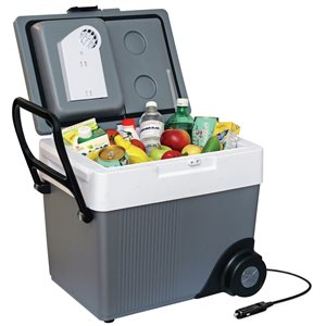Glacière sur roulettes Koolatron de 31 L, gris