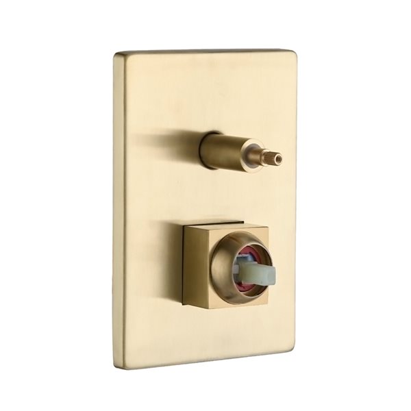 CASAINC Brushed Gold 10-in Wall Mount Built-In Shower System