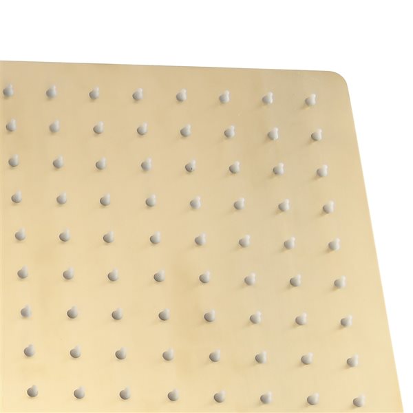 CASAINC Brushed Gold 10-in Ceiling Mount Built-In Shower System