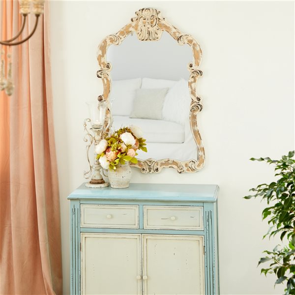 Grayson Lane 39-in x 25-in Irregular Wall Mirror