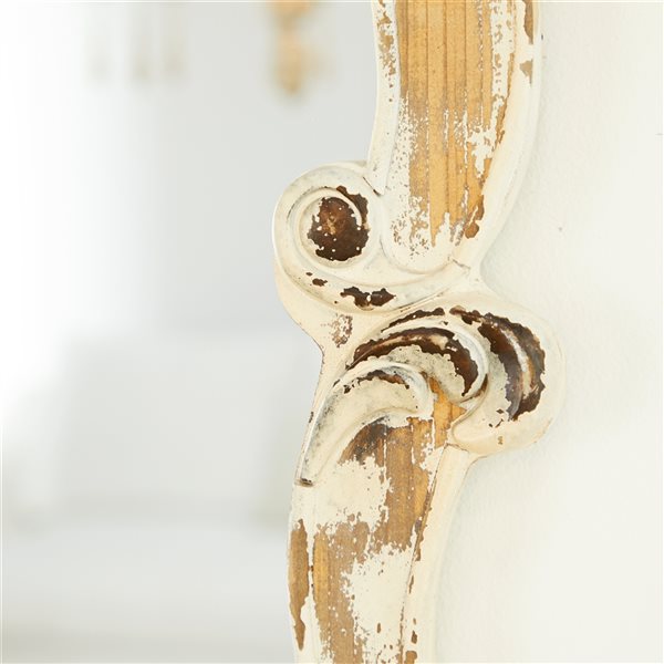 Grayson Lane 39-in x 25-in Irregular Wall Mirror