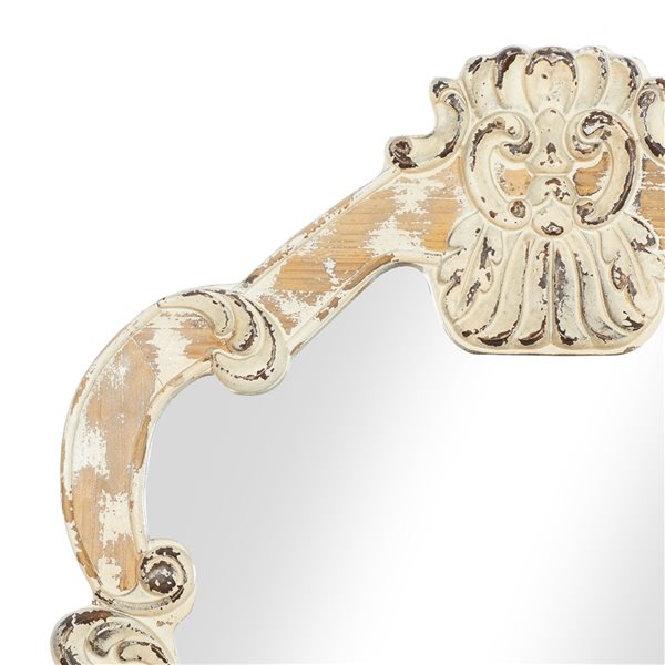 Grayson Lane 39-in x 25-in Irregular Wall Mirror