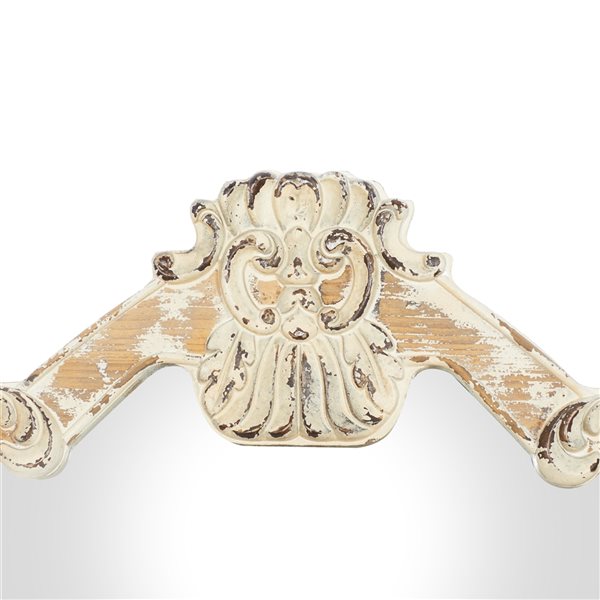 Grayson Lane 39-in x 25-in Irregular Wall Mirror