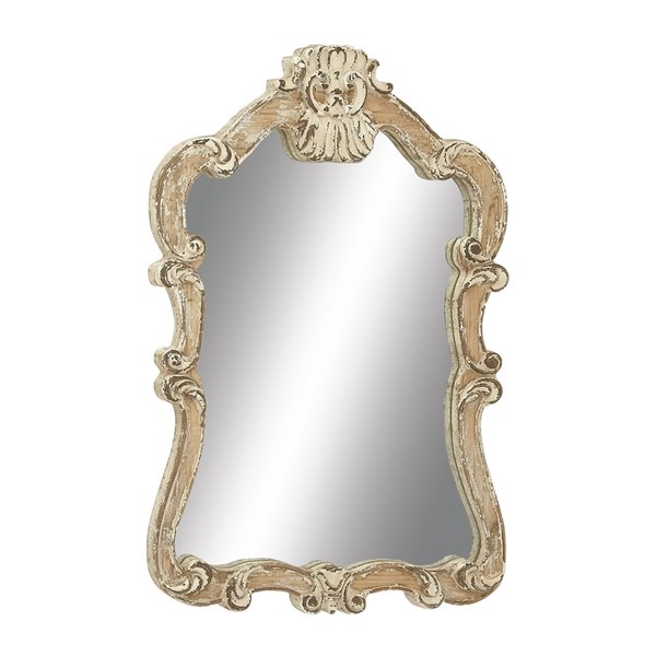 Grayson Lane 39-in x 25-in Irregular Wall Mirror