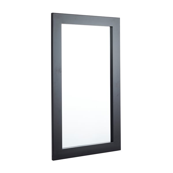 Grayson Lane 42-in x 24-in Rectangle Black Wall Mirror