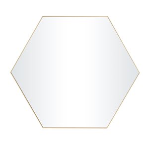 Grayson Lane 35-in x 40-in Irregular Gold Wall Mirror