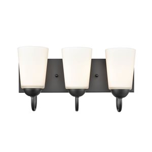 Millennium Lighting 3-light Traditional Black Vanity Light