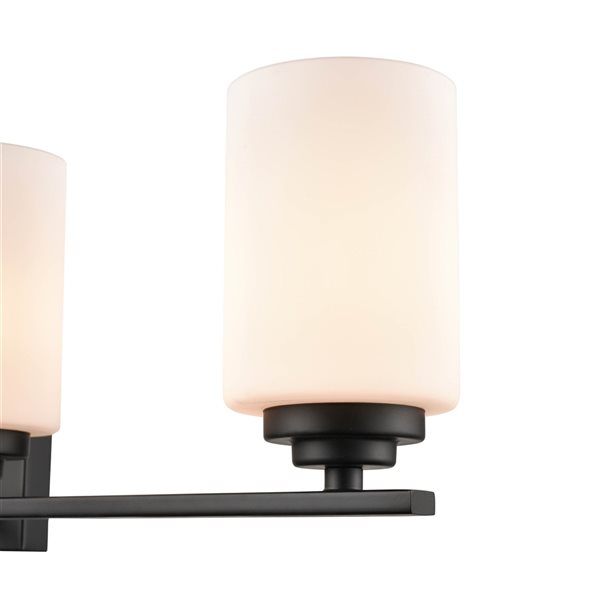 Millennium Lighting Durham 4-light Black Traditional Vanity Light