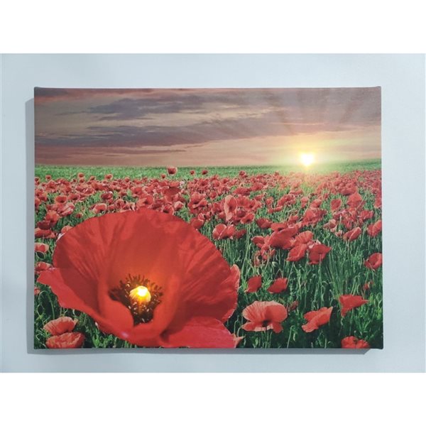 IH Casa Decor 16-in x 12-in Canvas Wall Panel with LED