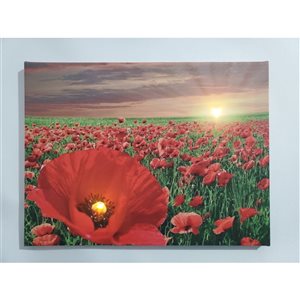 IH Casa Decor 16-in x 12-in Canvas Wall Panel with LED