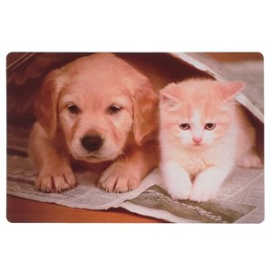 IH Casa Decor Multicoloured 16.75-in x 10.75-in Puppy and Kitten Plastic Placemats - Set of 12